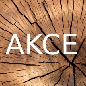 ikona akce